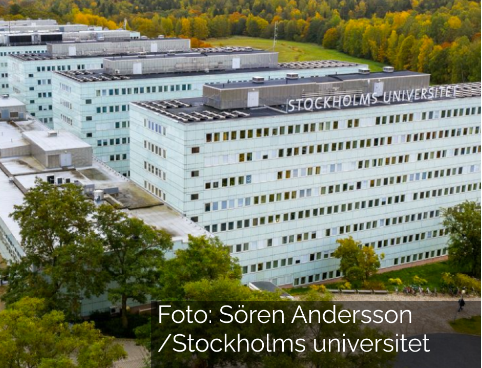 Stockholm universitet - utbildning inom dramapedagogik